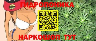 прущие крисы Пенза