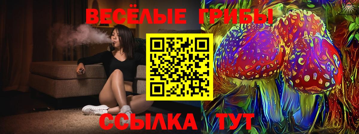 Псилоцибиновые грибы Cubensis Сарапул